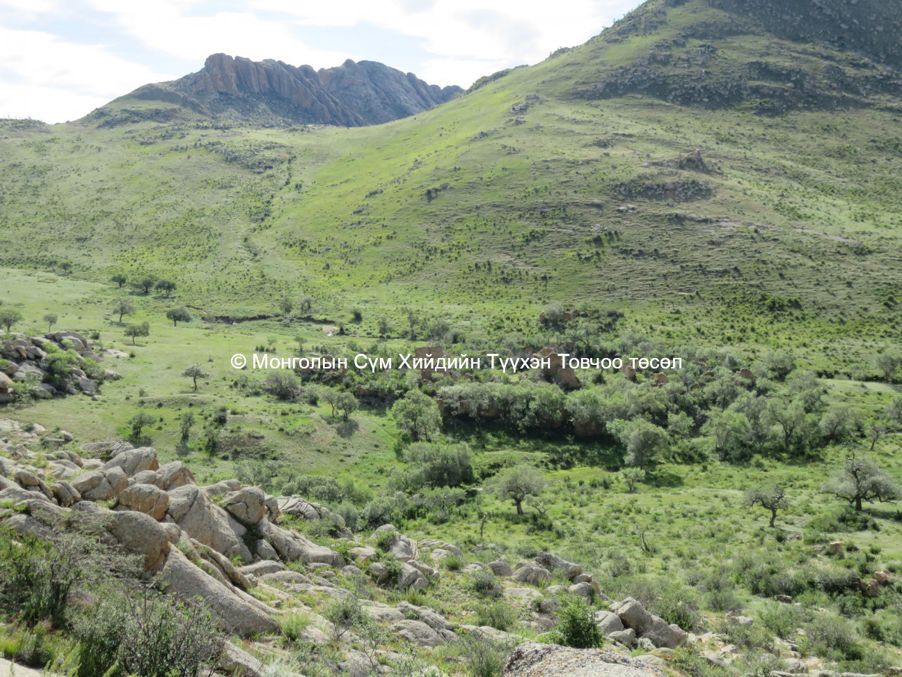 Overview of site from above on the east - part 2